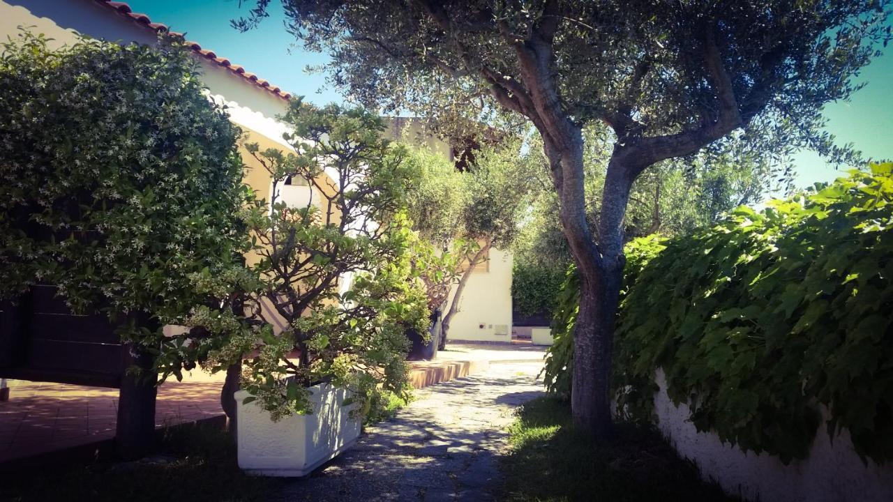 Appartamenti Luongo Forio  Exterior photo