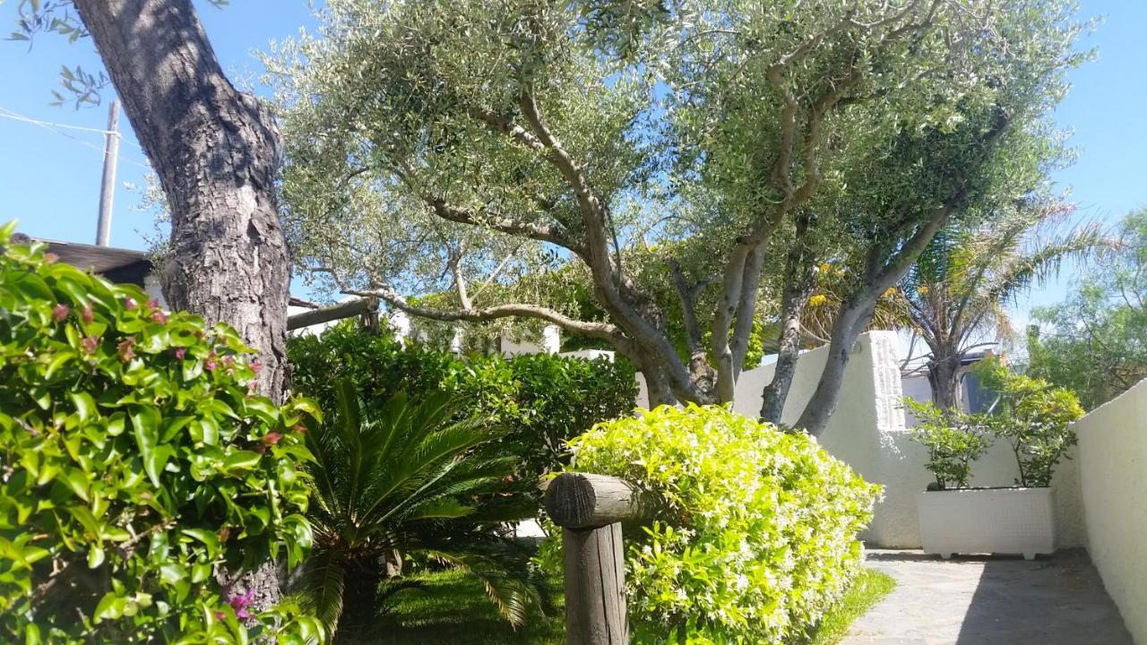 Appartamenti Luongo Forio  Exterior photo
